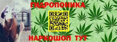 2c-b Сланцы